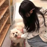 伊甸园的骄傲港服下载